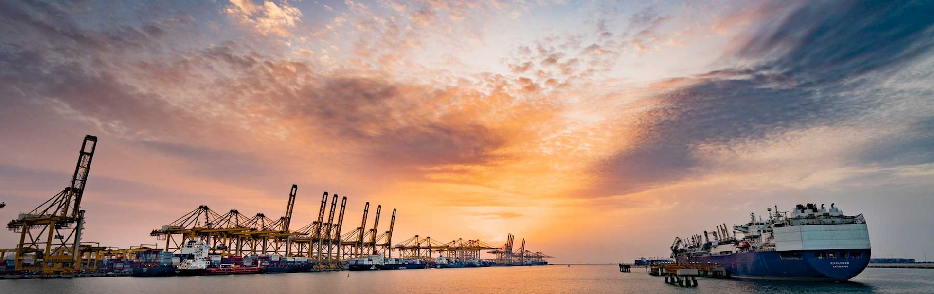 Partnerships DP World